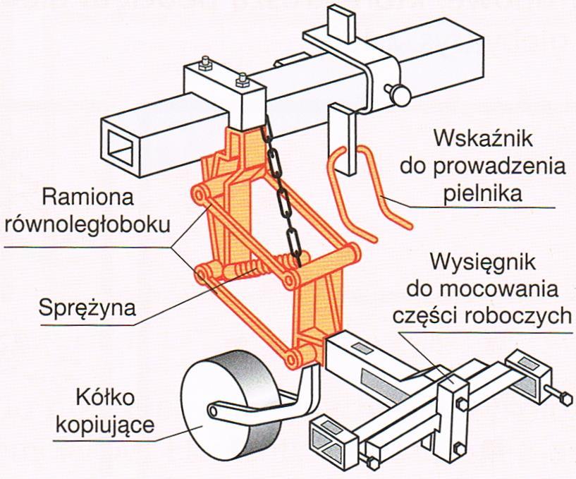 Pielnik przeznaczony do prac pielęgnacyjnych w międzyrzędziach upraw płaskich, szczególnie buraków cukrowych i kukurydzy, składa się z ramy z ręcznym układem sterowania kół podporowych,