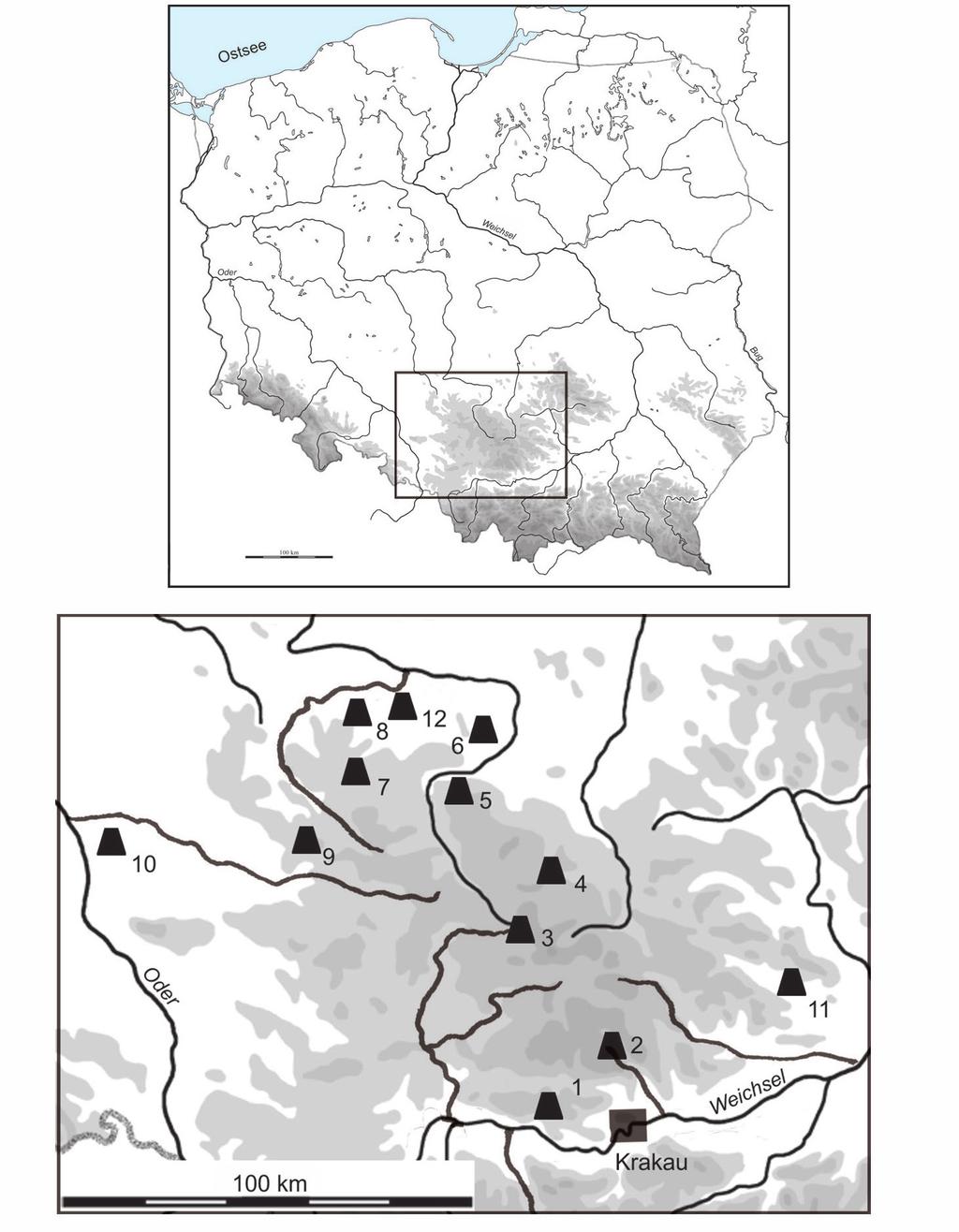 Eine Riemenzunge aus Filipowice, powiat Krzeszowice 205 Abb. 3.