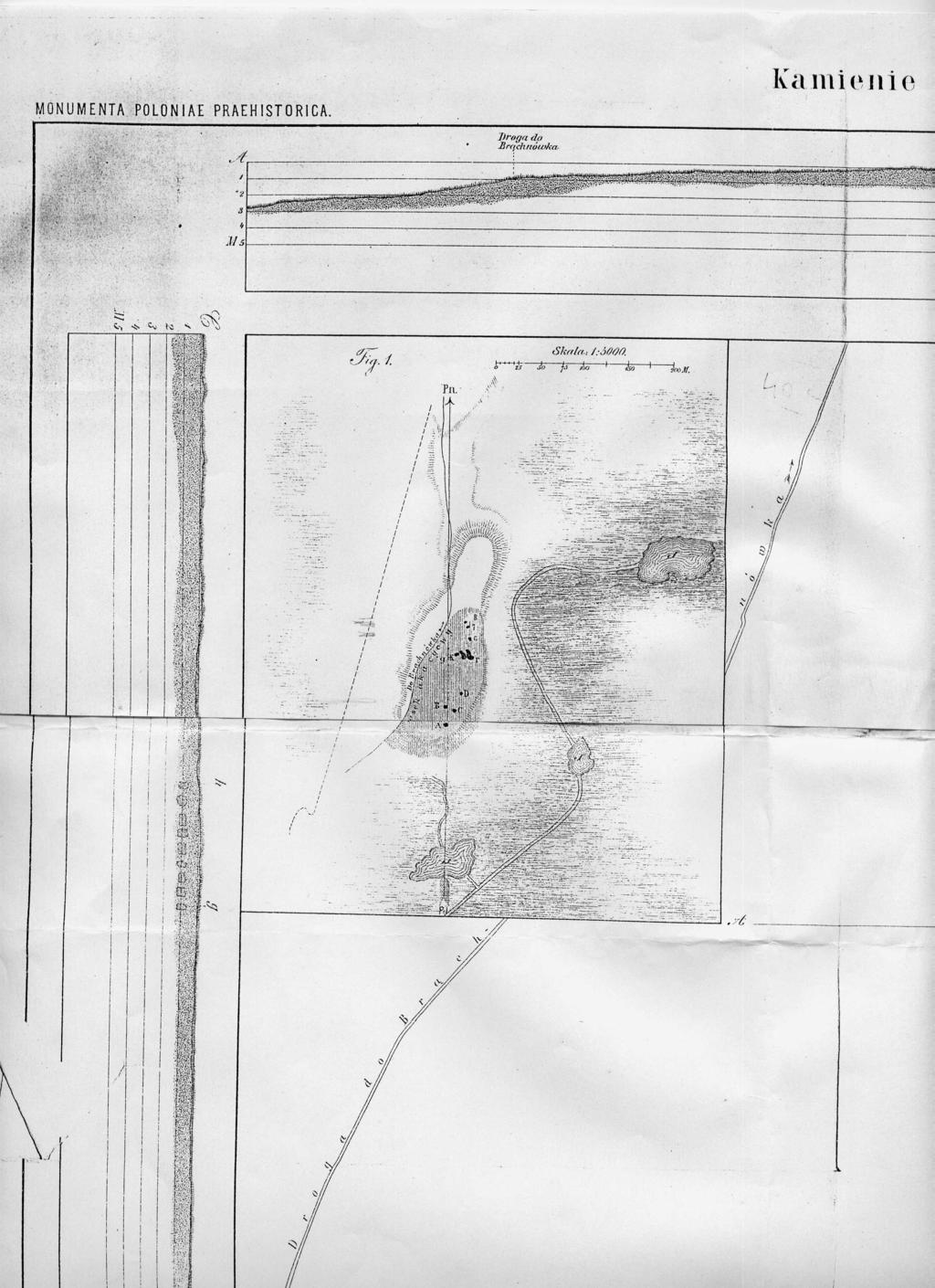 Ryc. 30 Plan cmentarzyska