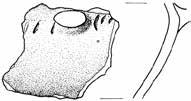 9 cm Tablica 6.
