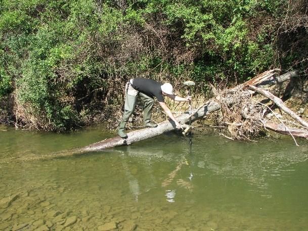 KURSY ZALECANE Geomorfologia dynamiczna