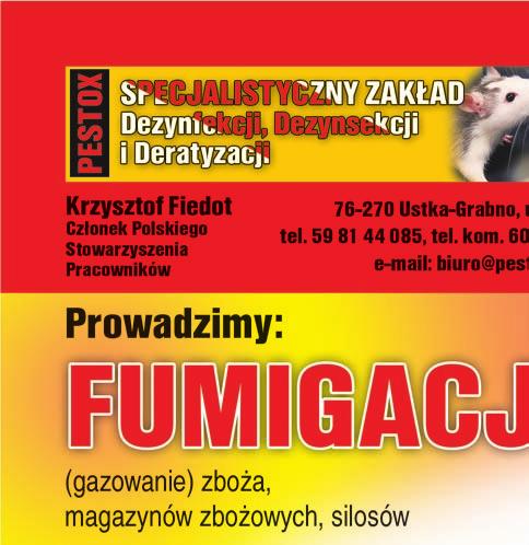 Skupujemy zboża: pszenicę paszową
