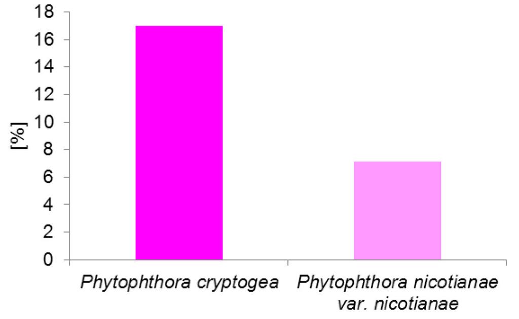 Rys. 1. Najliczniej występujące rodzaje mikroorganizmów wyizolowane z chorych roślin pelargonii w latach 2014 2015 Fig. 1. Most common types of microorganisms isolated from diseased pelargonium plants in 2014 2015 Rys.