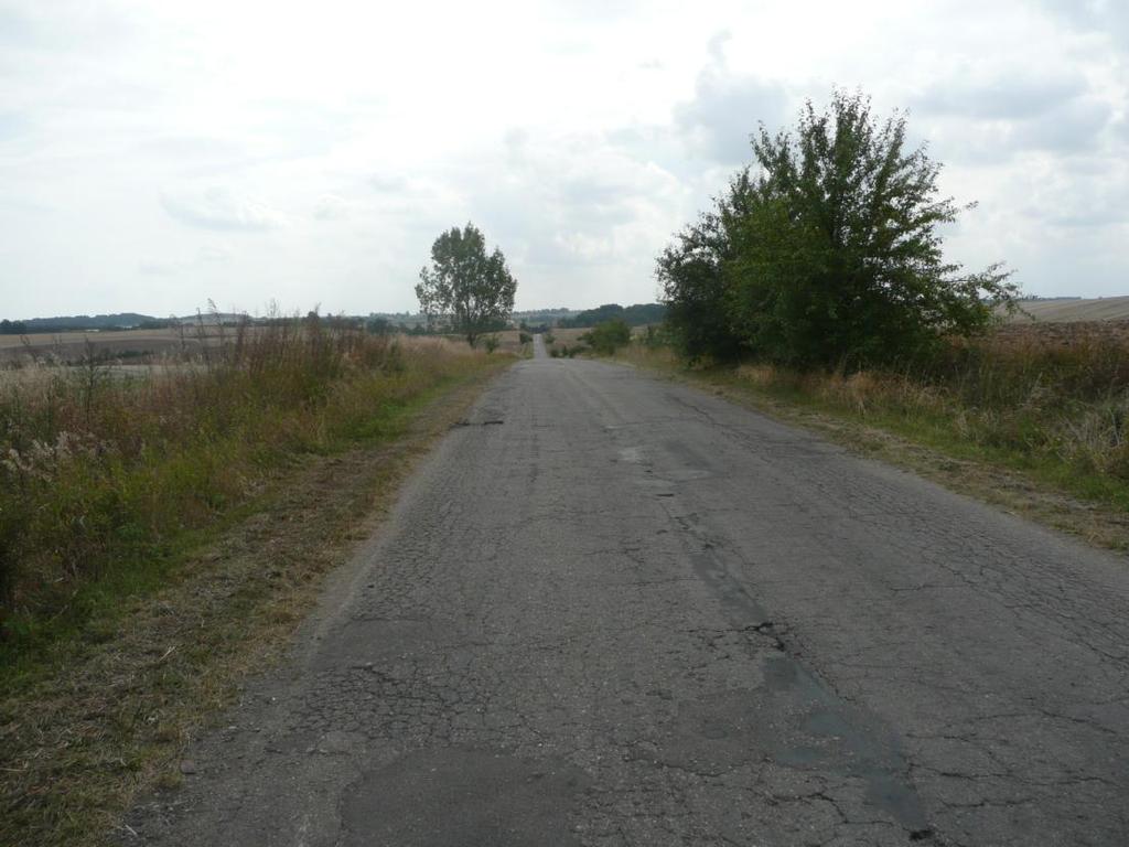 Fragmenty drogi z pojedynczymi drzewami.