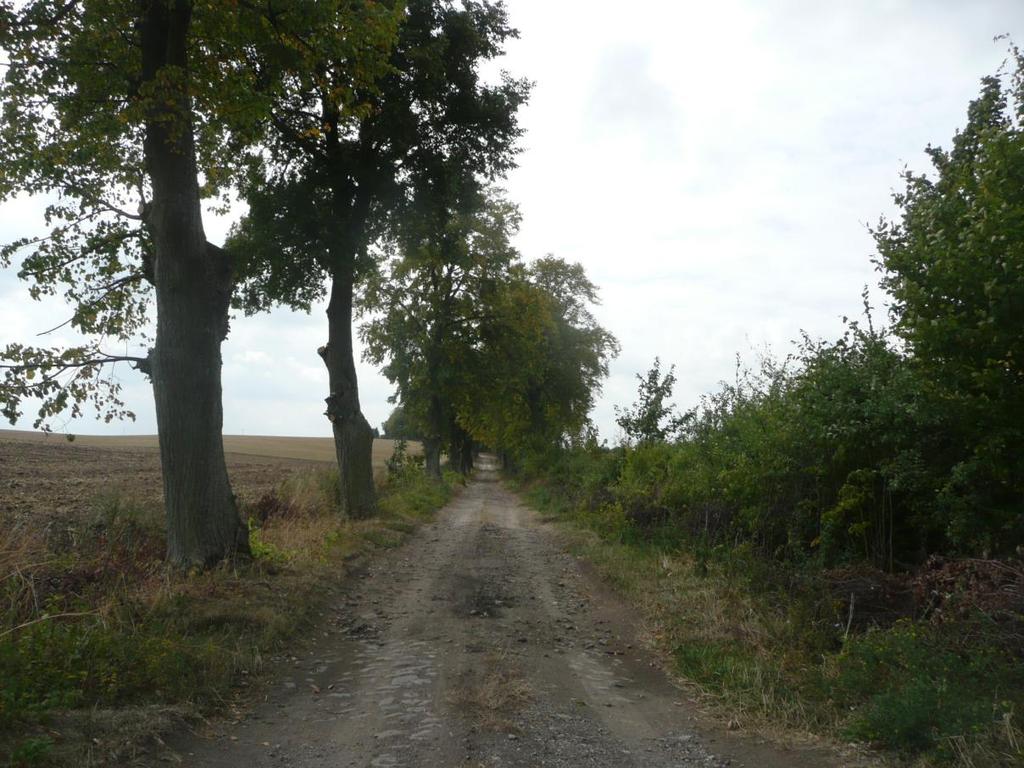 Fragment drogi z