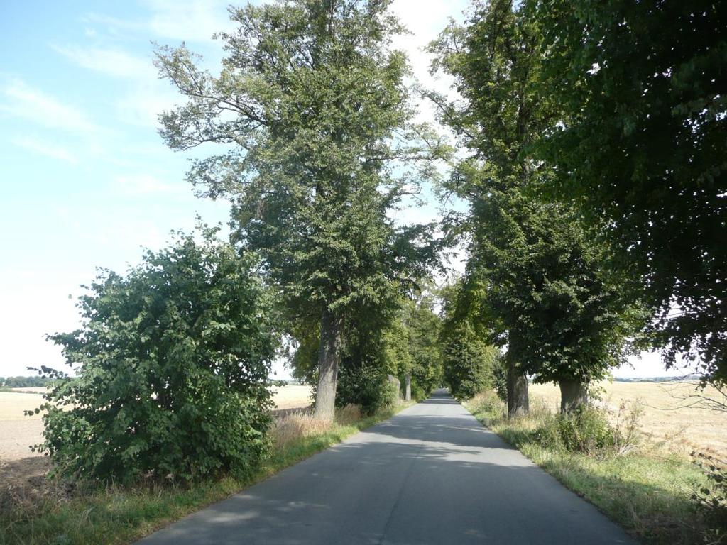 Kapliczka