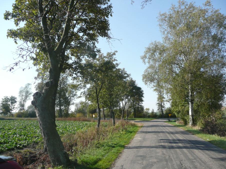 Przykład