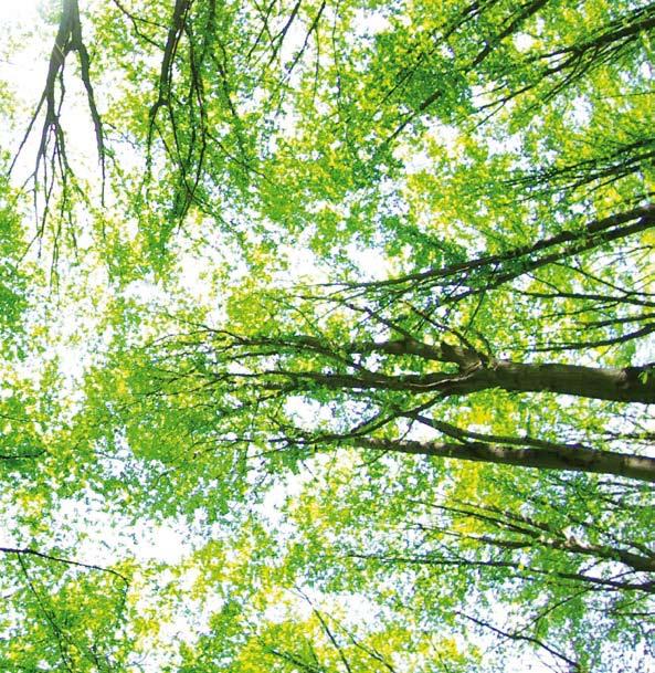 Filtry rozwiązanie na oczyszczone powietrze Nowe Filtry z Węglem Aktywnym recyrkulacja ALU.