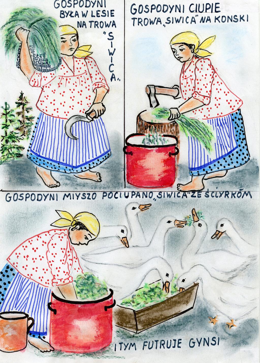 Podpis do ilustracji.