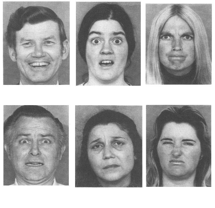 Emocje podstawowe (Evans 2002)