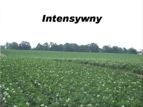 intensywny Konwencjonalny zrównoważony Integrowana