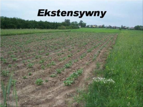 certyfikowany dobrowolne standardy jakościowo-marketingowe