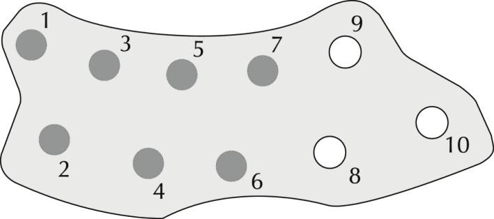 Hemolysis Reagent (R3) zawiera: pepsynę świńską; bufor; konserwant. Ten odczynnik jest także sprzedawany osobno jako produkt o numerze ref. A11A01730.