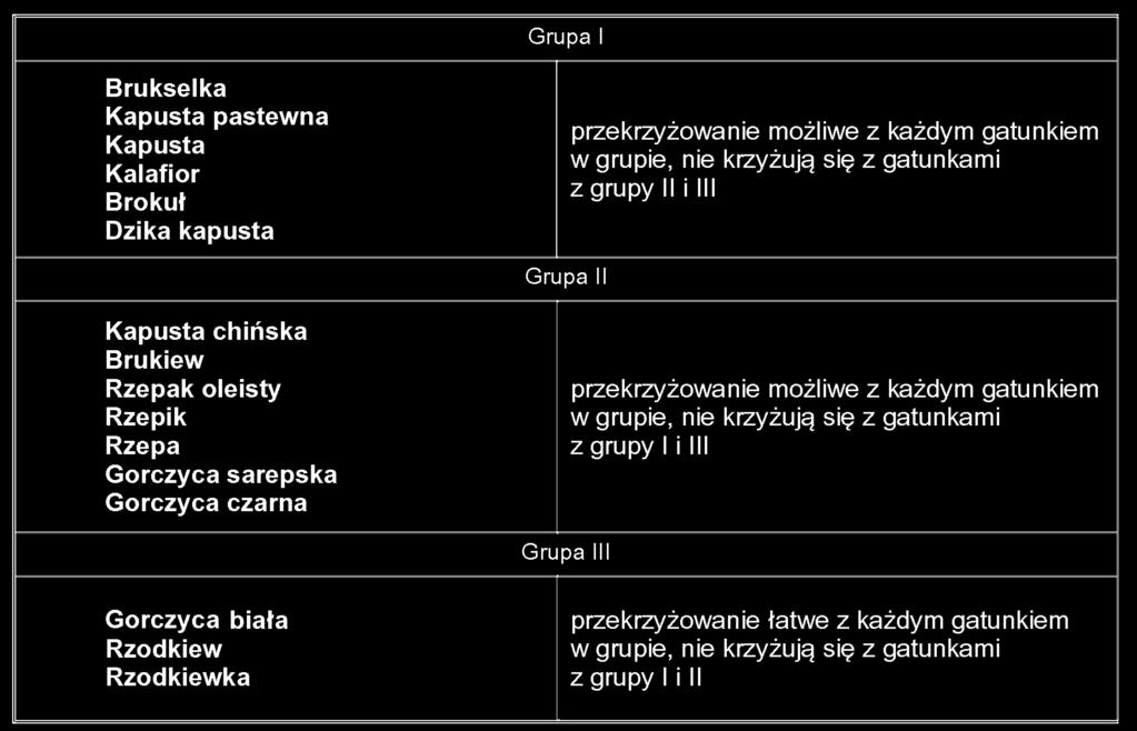 Podzia roêlin kapustowatych na grupy w zale noêci od mo liwoêci przekrzy owania si 6.