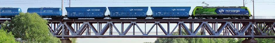 mln tono-km PORÓWAIE WIELKOŚCI PRZEWOZÓW MATERIAŁÓW IEBEZPIECZYCH TRASPORTEM DROGOWYM ORAZ KOLEJOWYM mln tono - km Wykres 23 Przewozy ładunków niebezpiecznych