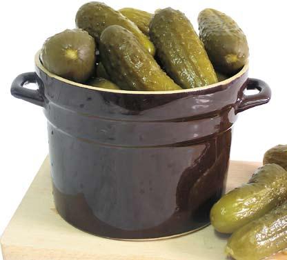 KWASZONY OGRÓD