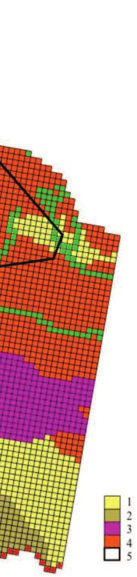 Geologicznej. W razie potrzeby może być on jednak łatwo przystosowany do innych programów, w których wykorzystuje się metodę elementów skończonych. 6.2. Obszar modelu Obszar modelu regionalnego (rys.
