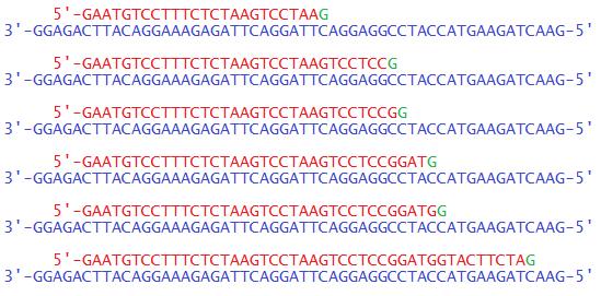 Rozdział 4. 24 1. typ A : 4 normalne nukleotydy, ddatp, polimeraza DNA; 2. typ C : 4 normalne nukleotydy, ddctp, polimeraza DNA; 3. typ G : 4 normalne nukleotydy, ddgtp, polimeraza DNA; 4.