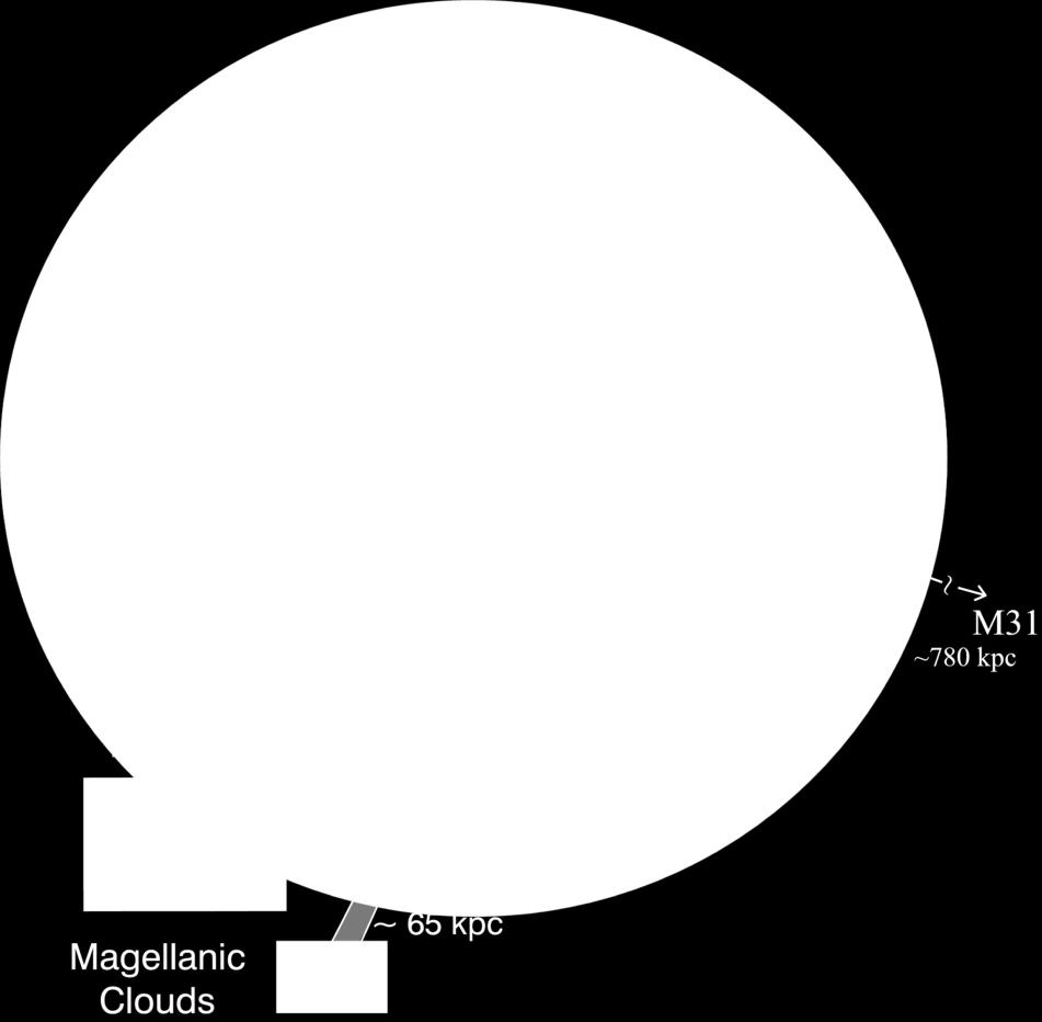 Compact Halo Objects