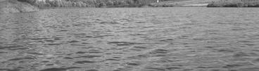 badań hydrologicznych i analiz jakości wody [WIATKOW- SKI, 2008], za konieczne uznano także przeprowadzenie analizy zawartości metali ciężkich w osadach dennych