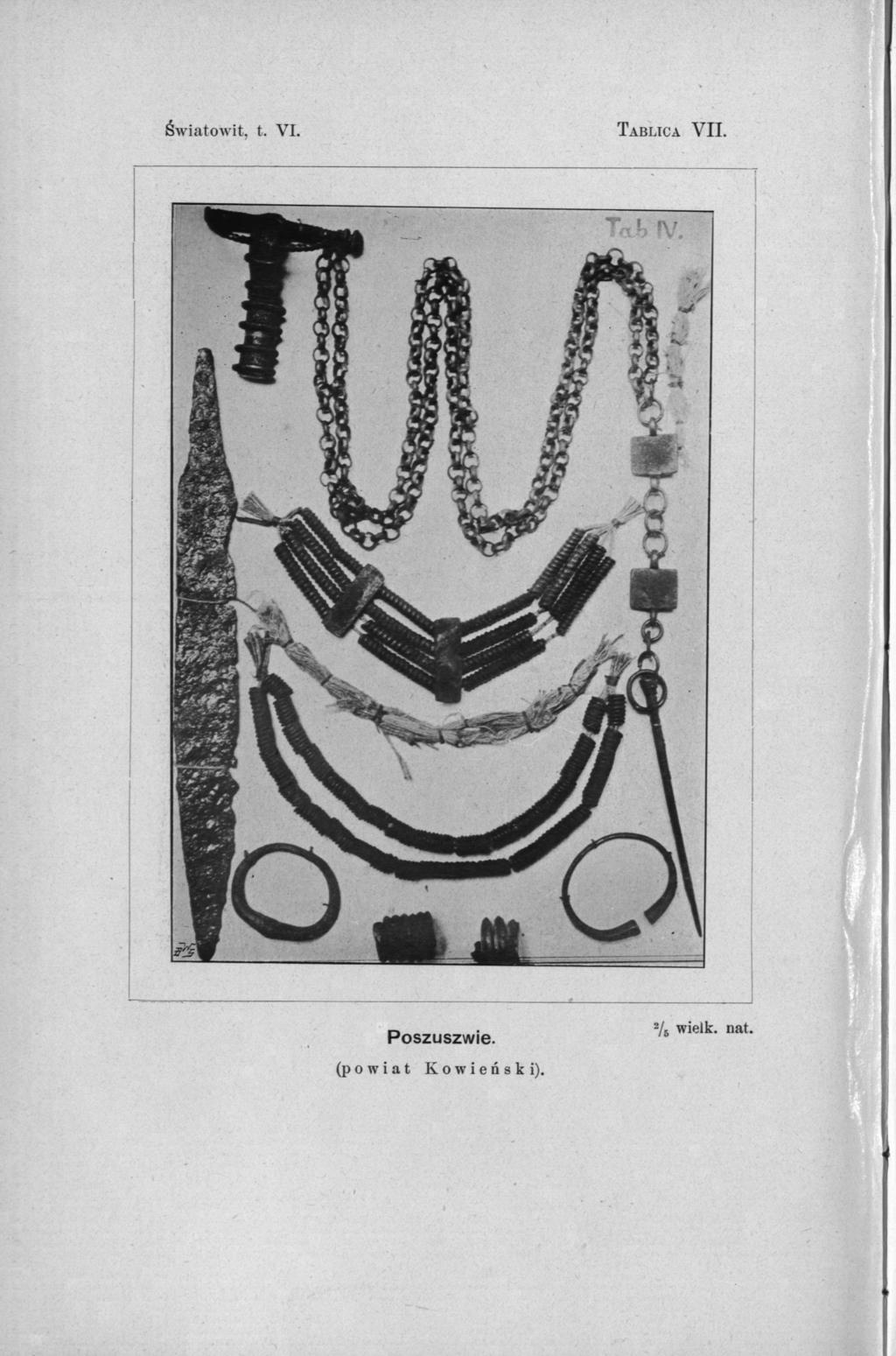 Światowit, t. VI. TABLICA VII.