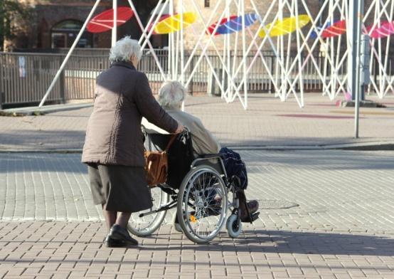 27,2% Uszkodzenia i choroby narządu