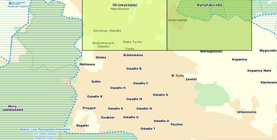 Fauna występująca na analizowanym obszarze miasta jest stosunkowo uboga, na co wyraźny wpływ ma antropopresja, istniejąca zabudowa terenu i brak siedlisk stanowiących dogodne miejsca dla zwierząt.