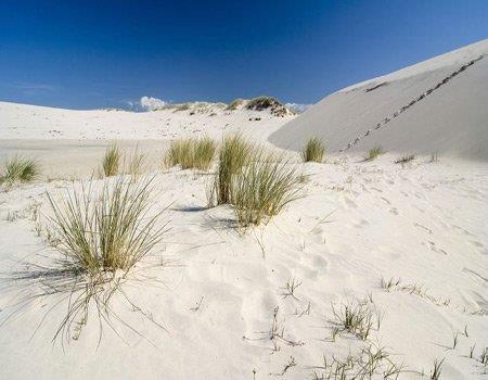 rekwizytów; Obiadokolacja; Spacer na zachód słońca na plażę. Dzień 3. W trakcie całodniowej wycieczki grupie będzie towarzyszyć lokalny przewodnik, z którym uczestnicy zobaczą m. in.