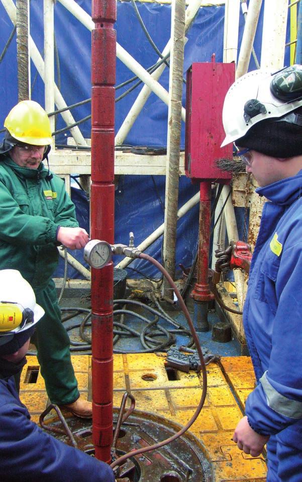 production log), - pobierania próbek przy użyciu wyciągu Wireline, - wykonania zabiegu kwasowania, - współpracy z Coiled Tubing, - wykonania testów produkcyjnych, Zabiegi w otworach orurowanych przy