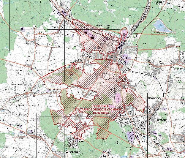 Program Ochrony Środowiska Powiatu Tarnogórskiego na lata 2011-2018 (uchwała Nr XVI/173/2011 Rady Powiatu w Tarnowskich Górach z dn. 27.12.2011 r.