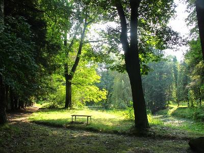 Brynek, ogród botaniczny na terenie parku Repty, aleja parkowa Najpiękniejszy z parków powiatu i jeden z piękniejszych na Śląsku znajduje się w Świerklańcu.