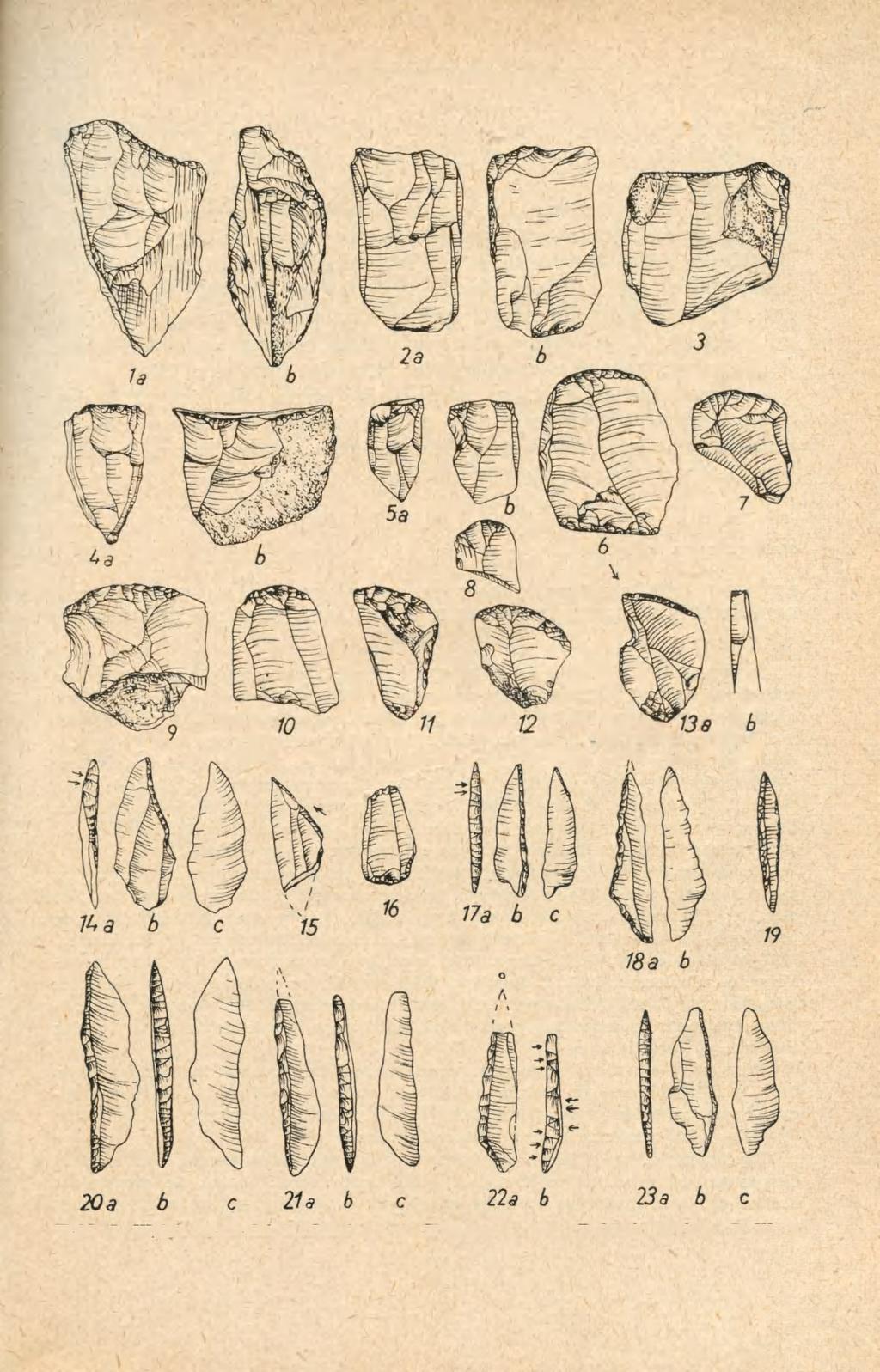 NAJSTARSZY MEZOLIT MAZOWSZA