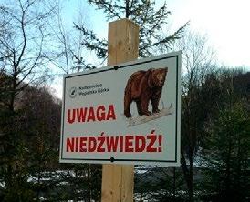 Taki tylko ludzki bilans zysków i strat czy może jednak przyjmuję to, że najpierw dla mnie jest Miłosierdzie Boga gdy