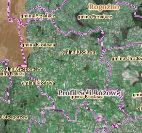 Rysunek 28. Obszary chronione na terenie gminy Kłodawa Źródło: http://geoserwis.gdos.gov.pl/mapy/ Powierzchnia Goplańsko-Kujawskiego OChK wynosi 66 000 ha.