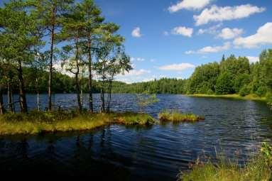 253,1 ha Powiat wejherowski Gmina Szemud Gmina