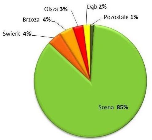 dla Powiatu Piskiego na lata 217-22 z perspektywą do 224 roku 216 Powiat Piski należy do pięciu Nadleśnictw: Nadleśnictwo Maskulińskie Lasy Nadleśnictwa Maskulińskiego stanowią część jednego z