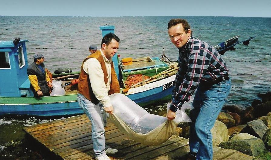 Chrońmy Przyr. Ojcz. rocznik 65, zeszyt 2, 2009. Ryc. 2. Oznakowany narybek jesiotra ostronosego Acipenser oxyrhynchus przenaczony do zarybienia rzeki Barycz (fot. M. Kleszcz) Fig. 2. Tagged ﬁngerling of the Bal c sturgeon Acipenser oxyrhynchus for the Barycz River stocking (photo by M.