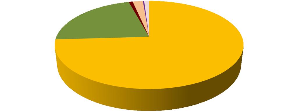 Wykres 18. Struktura zagospodarowania przestrzeni na terenie gminy Drużbice (GUS, 2014). użytki rolne lasy zurbanizowane tereny komunikacyjne pod wodami pozostałe 1.4.3. Infrastruktura techniczna.