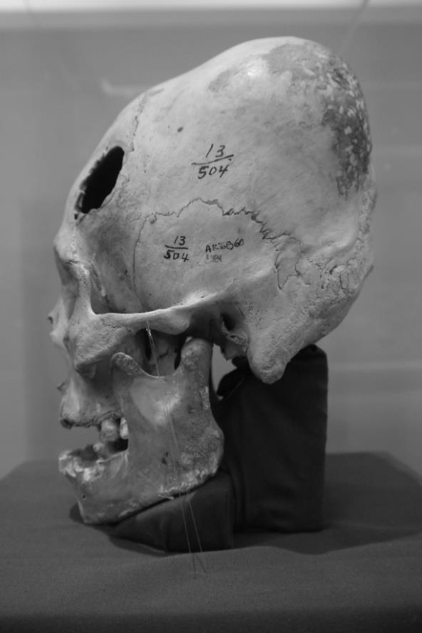 ryc. 2.