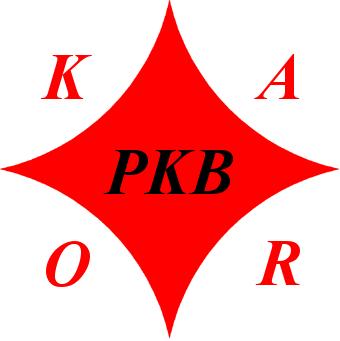 mgr inż. Jerzy Ciesielczuk kontakt tel. kom. 515 634 337 stacj. 32 231 82 97 e-mail karo@pkbkaro.pl www.pkbkaro.pl PKB ul.