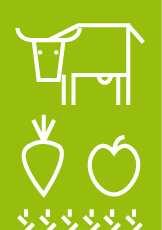 NOWE LOGO