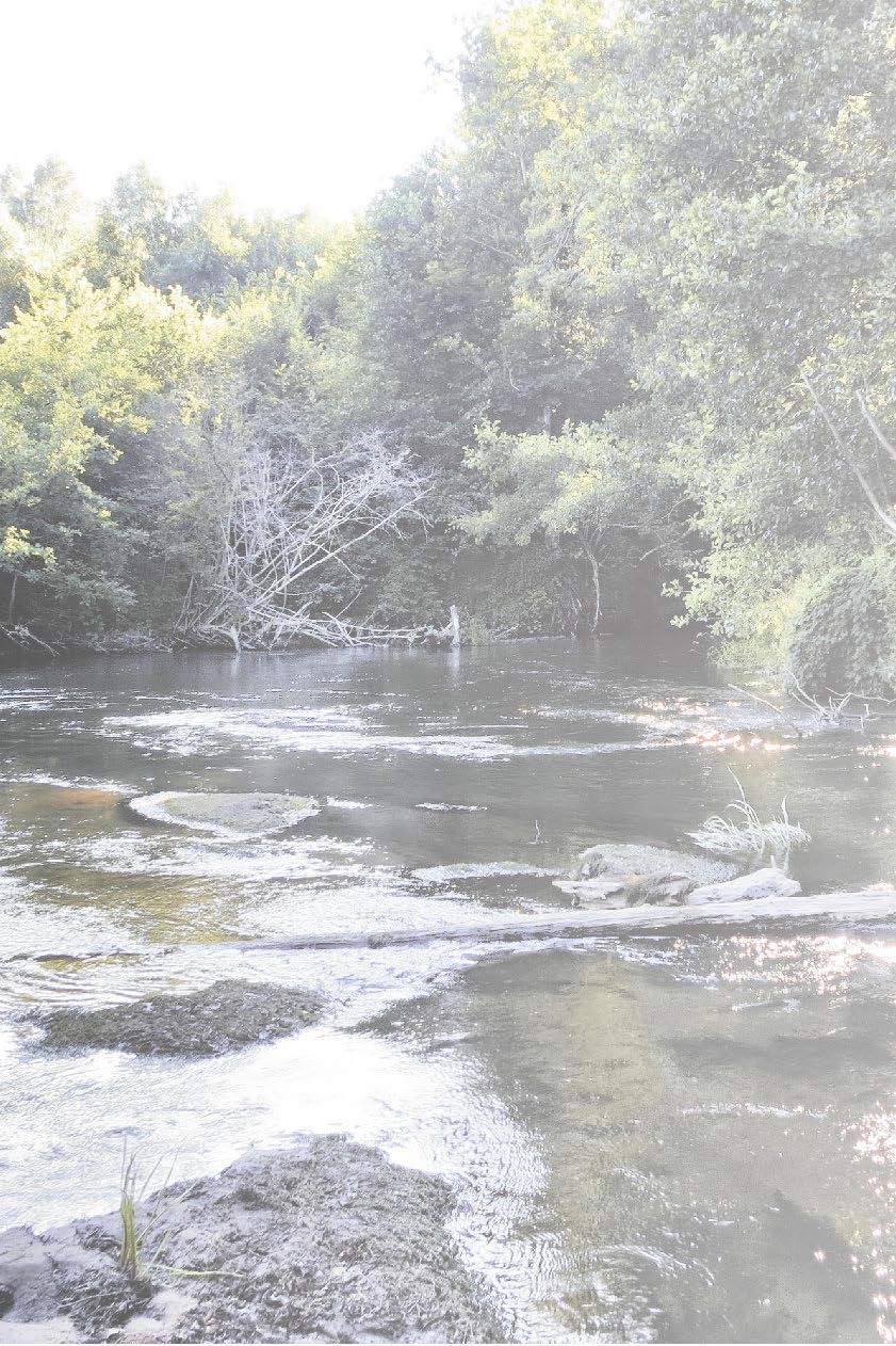 Fotografie wyróżnione umieszczeniem w albumie w kategorii