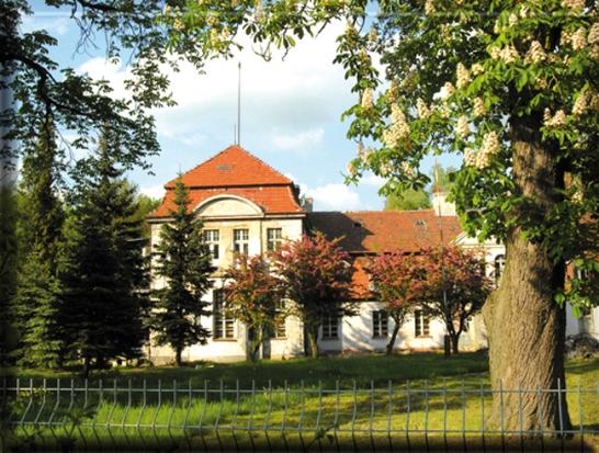 Przytoczna, pałac, II poł XVIII w., 2010. Pod koniec XVIII w. Przytoczna uzyskała prawa miejskie, które wygasły w czasie rozbiorów. W II połowie XVIII w.