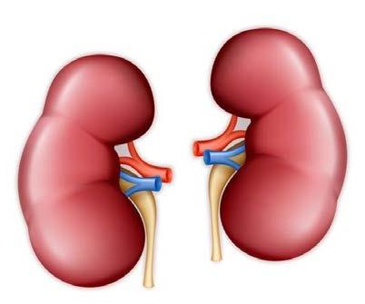 CYP2C19 IPP CYP2E1-