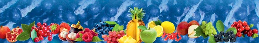 ACAI LONGEVITY STAR przeciwutleniacz, zdrowe trawienie Açaí to owoce palmy Euterpe oleracea, która rośnie w południowoamerykańskiej Amazonii.