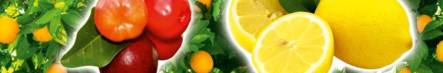 ACEROLA PLUS STAR witamina C z acerolą na wzmocnienie układu odpornościowego Substancje składowe pomagają: wzmacniać odporność i zwiększać witalność chronić komórki przed stresem oksydacyjnym