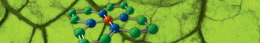 CHLOROPHYLL STAR ułatwia transport tlenu we krwi Substancje składowe pomagają: zwiększyć możliwości transportu tlenu przez krew w tworzeniu hemoglobiny (barwnika krwi) w prawidłowym funkcjonowaniu