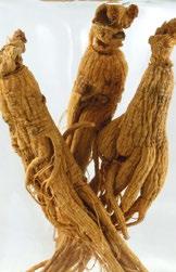 Składniki (1 kapsułki): Maltodekstryna; żelatyna; ziele hyzopu (Hyssopus officinalis, 4:1) 70 mg; nasiona