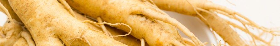 KOREAN GINSENG STAR certyfikat witalności, sprawdzony dar czasu, radość życia Żeń-szeń właściwy Panax ginseng C. A.