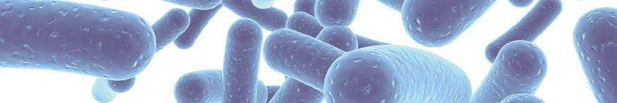 ACIDOPHILUS STAR odbudowuje mikroflorę układu pokarmowego Substancje składowe pomagają: usprawnić trawienie aktywizować układ odpornościowy zwiększyć odporność na infekcje zapobiegać rozwojowi